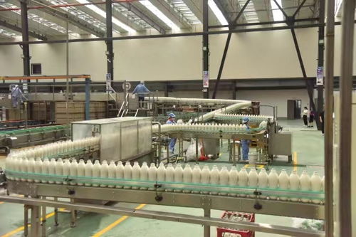 首屆中國(guó)綦江食品工業(yè)高質(zhì)量發(fā)展大會(huì)將于12月4日舉行，聚焦食品銷售新機(jī)遇