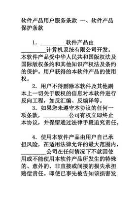 軟件產(chǎn)品與計(jì)算機(jī)系統(tǒng)服務(wù)用戶(hù)服務(wù)條款范本